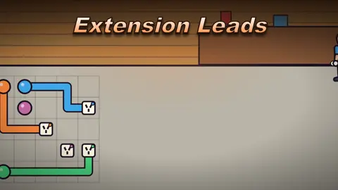 Extension Leads